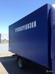 Газели всех видов
