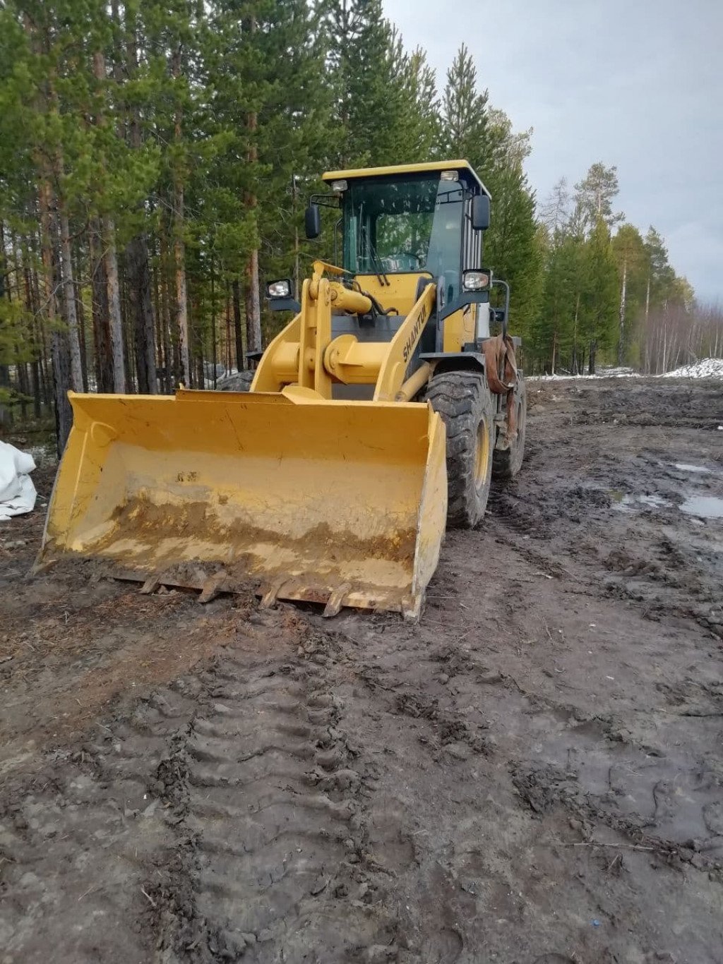 Аренда фронтального погрузчика