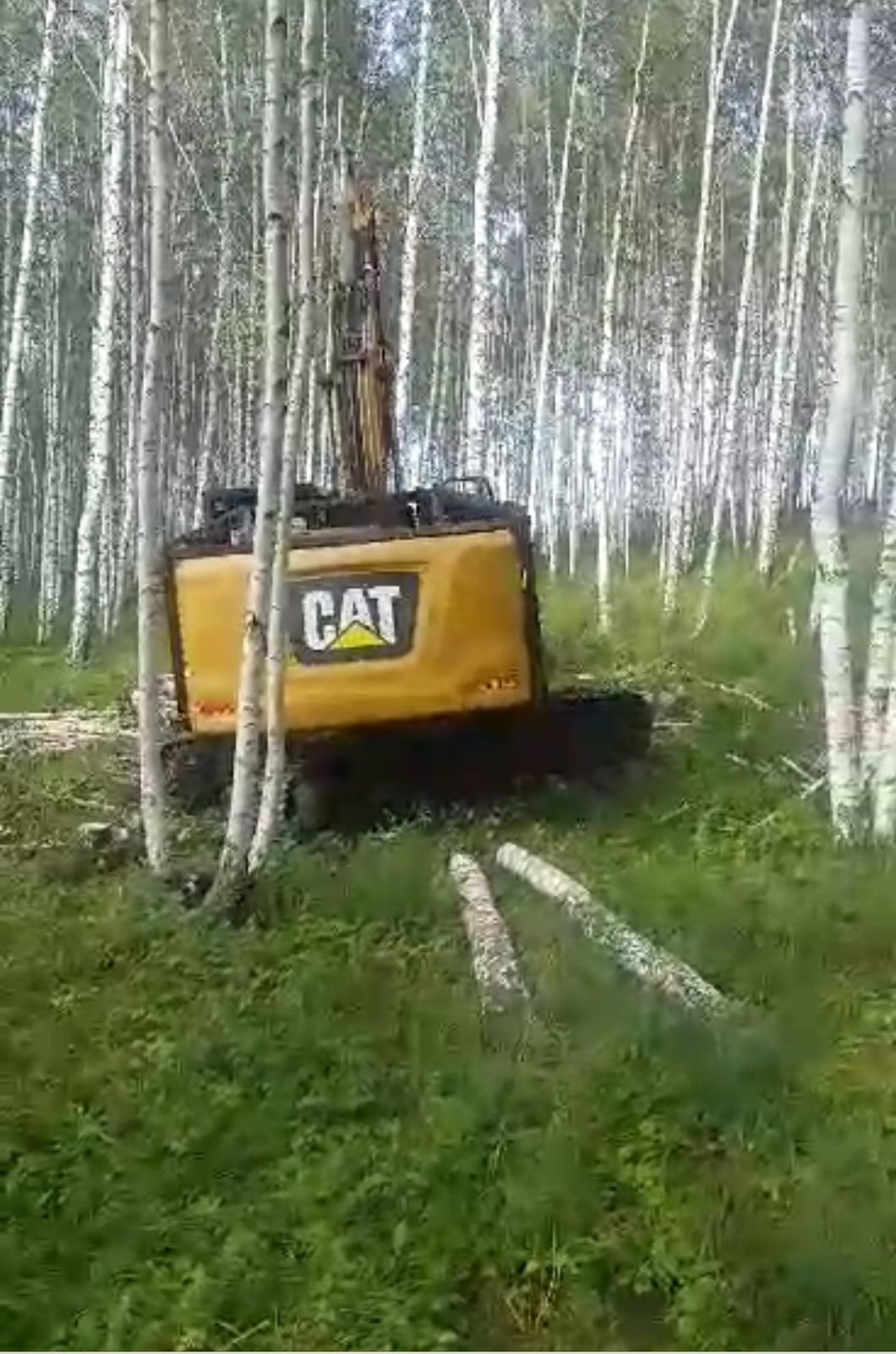 Услуги лесозаготовительного комплекса
